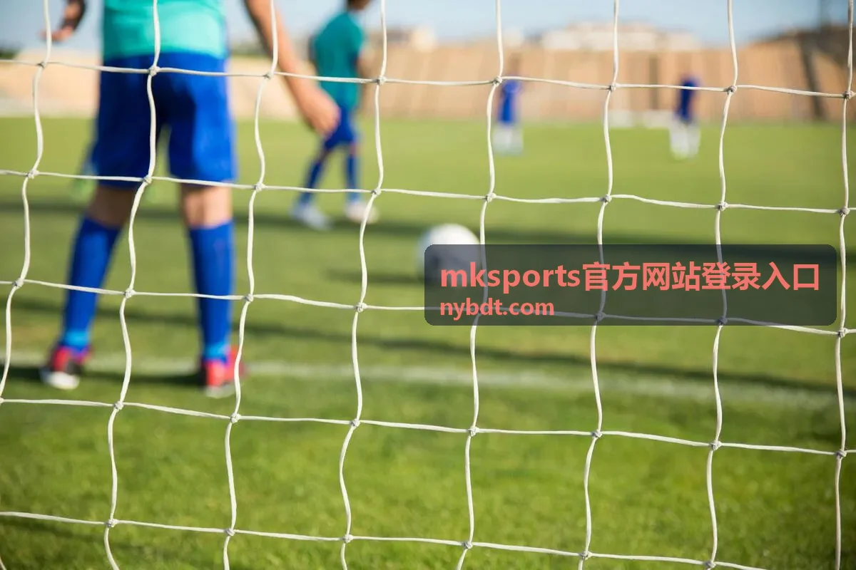 mksports官方网站登录入口中的账号资料与历史记录封面