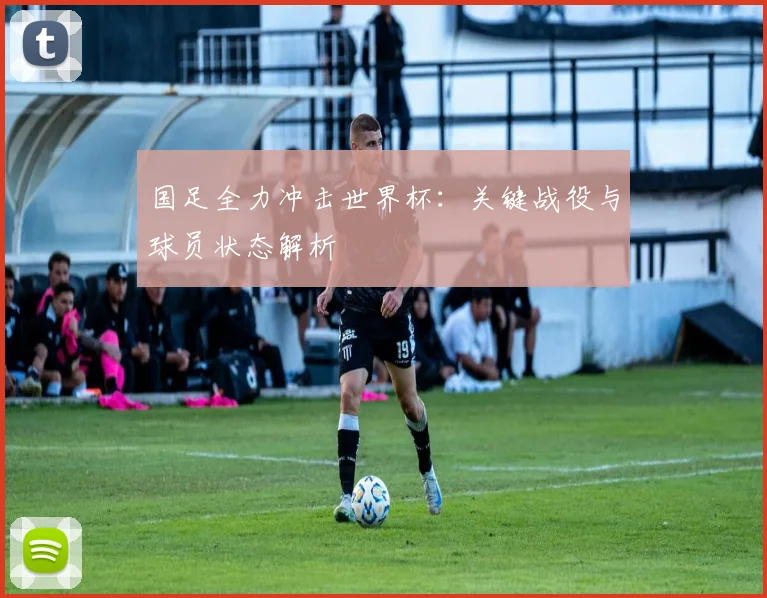 国足全力冲击世界杯：关键战役与球员状态解析
