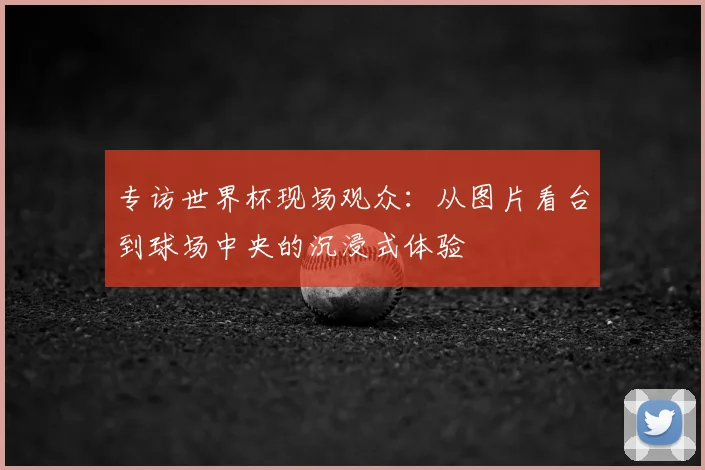 专访世界杯现场观众:从图片看台到球场中央的沉浸式体验