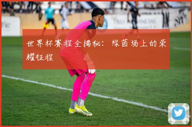 世界杯赛程全揭秘:绿茵场上的荣耀征程