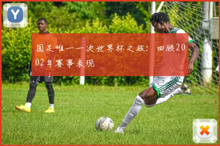 国足唯一一次世界杯之旅：回顾2002年赛事表现