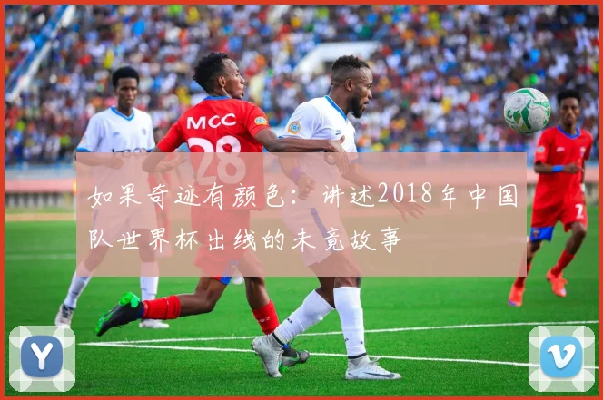 如果奇迹有颜色：讲述2018年中国队世界杯出线的未竟故事
