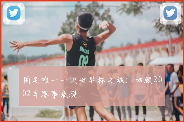 国足唯一一次世界杯之旅：回顾2002年赛事表现