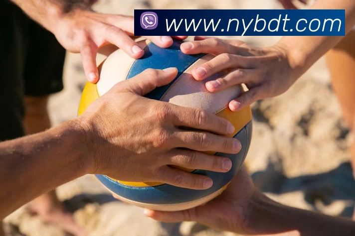 App Interface Preview